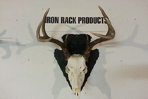 Product Shot