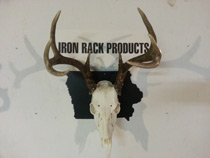 Product Shot