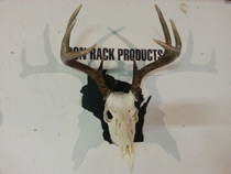 Product Shot