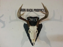 Product Shot